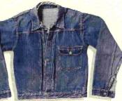 Levi's jacket
