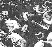 Woodstock